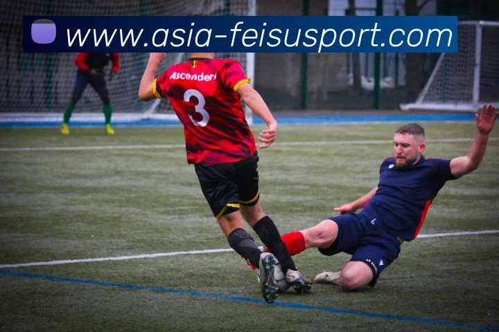 飞速体育平台生态图